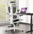 Ergonomic Office Chair With 3D Adjustable Backrest