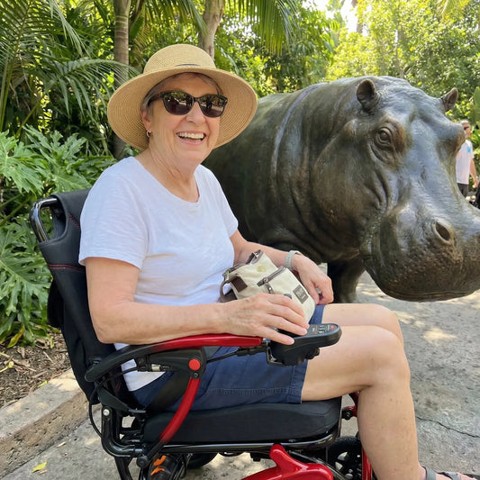 Best Electric Wheelchairs for Seniors in 2026: Expert Guide