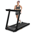 3 in 1 Foldable Treadmill with Removable Desk