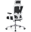 Ergonomic Desk Chair with Adjustable Lumbar Support