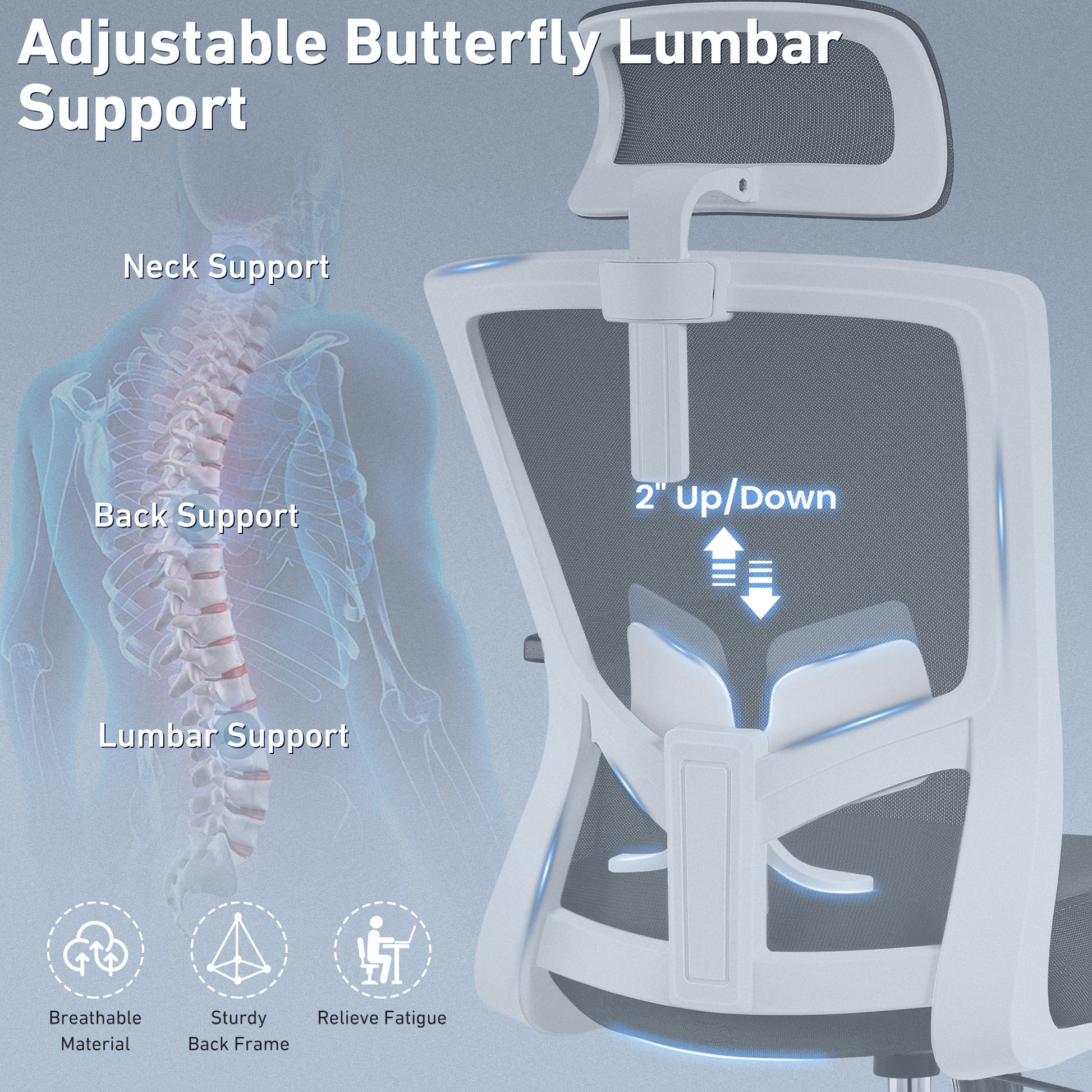 Ergonomic Desk Chair with Adjustable Lumbar Support