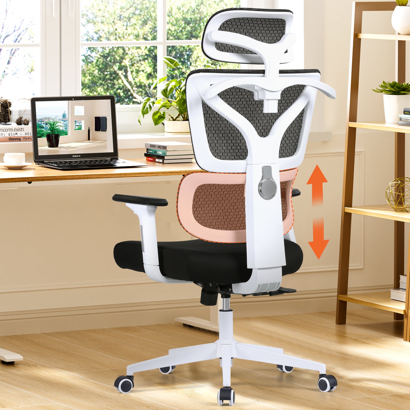 Ergonomic Computer Desk Chair Upgrade Adjustable Lumbar Support