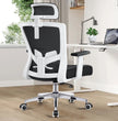 Ergonomic Desk Chair with Adjustable Lumbar Support