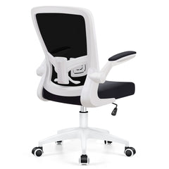 Office Chair, Ergonomic Desk Chair with Adjustable Lumbar Support and Flip up Arms
