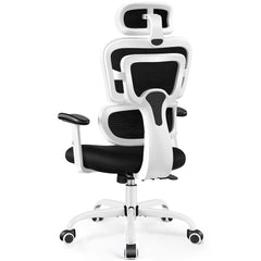 CoolHut Ergonomic Office Chair Desk Chair High Back Computer Chair