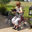 2-in-1 Aluminum Wheelchair Folding 4-Wheel Walker Rollator With Adjustable Handles