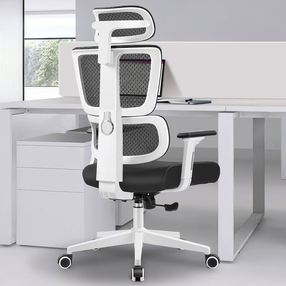 Ergonomic Office Chair With 3D Adjustable Backrest Kerdom