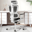 Ergonomic Office Chair With 3D Adjustable Backrest,3D Adjustable Armrest